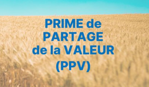 La Prime de Partage de la Valeur (PPV), mise en place pour permettre aux entreprises de verser une prime défiscalisée et exonérée de cotisations sociales sous certaines conditions, reste d’actualité jusqu’au 31 décembre 2026. La loi de finances parue en février 2025 a confirmé sa prolongation, mais avec un changement important pour les employeurs : la PPV est désormais prise en compte dans le calcul de la réduction Fillon !
